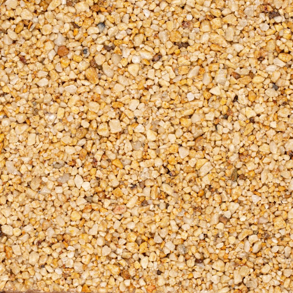 Corn Meadow